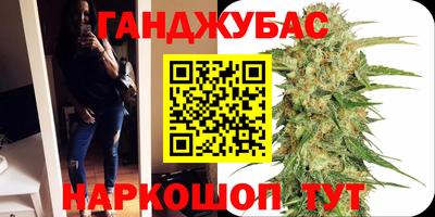 гашик Моздок