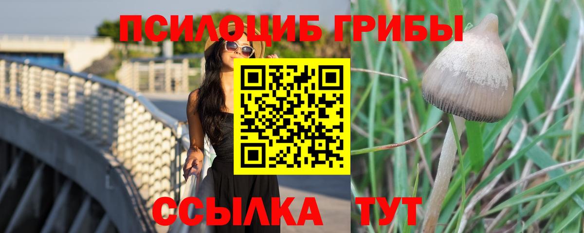 Зеленогорск  Галлюциногенные грибы Magic Shrooms  Вход с VPN 