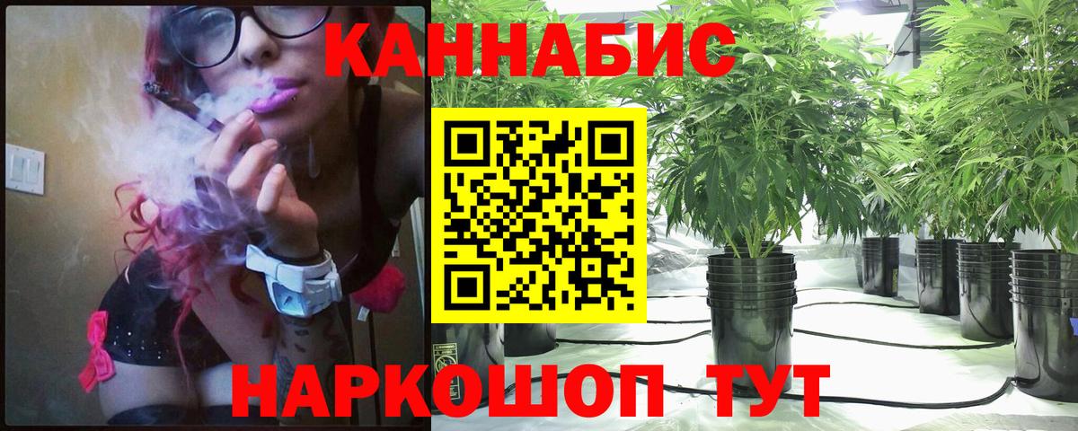 Марихуана семена  Вход с VPN  Бошки марихуана Amnesia  Бошки Шишки MAZAR  Канабис сатива  Зеленогорск 